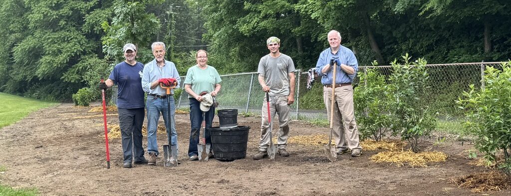 E5600F45-51F7-4D09-8DFE-ECEA60703D2D_1_105_c