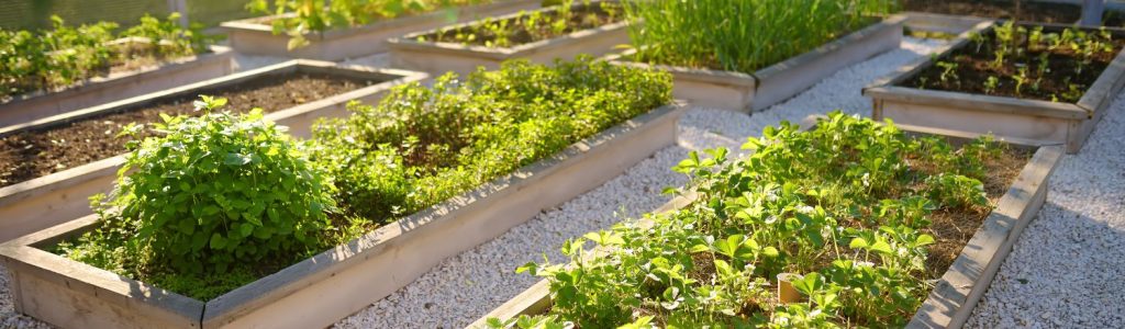 xr:d:DAFX8SacJrw:3,j:45408783984,t:23011813